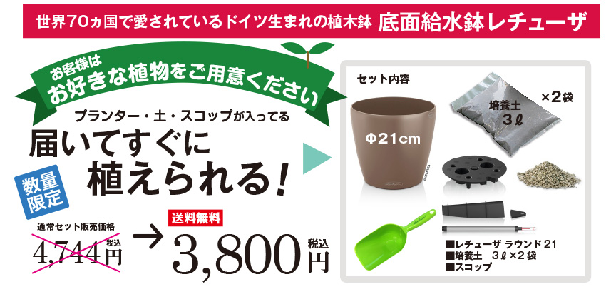 数量限定!送料無料で3800円
