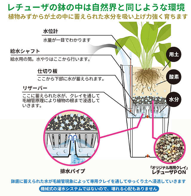 なぜ レチューザがいいの レチューザのしくみ ヨーロッパから直輸入 プロ仕様 植木鉢専門店プランタープロショップ