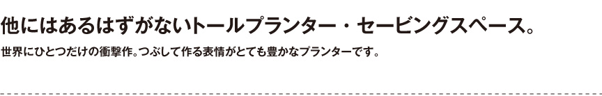 プラストコレクション【セービングスペース】