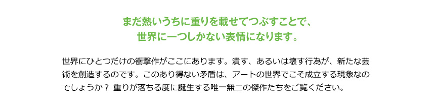 プラストコレクション【セービングスペース】