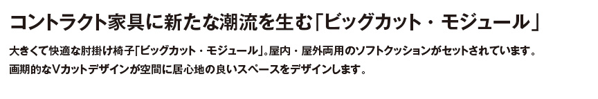 ファニチャー【ビッグカットモジュール】