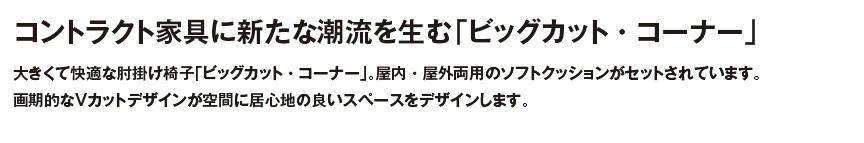 ファニチャー【ビッグカットコーナー】