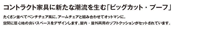 ファニチャー【ビッグカットプーフ】