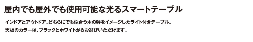 ファニチャー【フラテーブルライト付き】