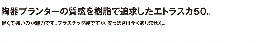 ユーロスリープラスト【エトラスカ50】