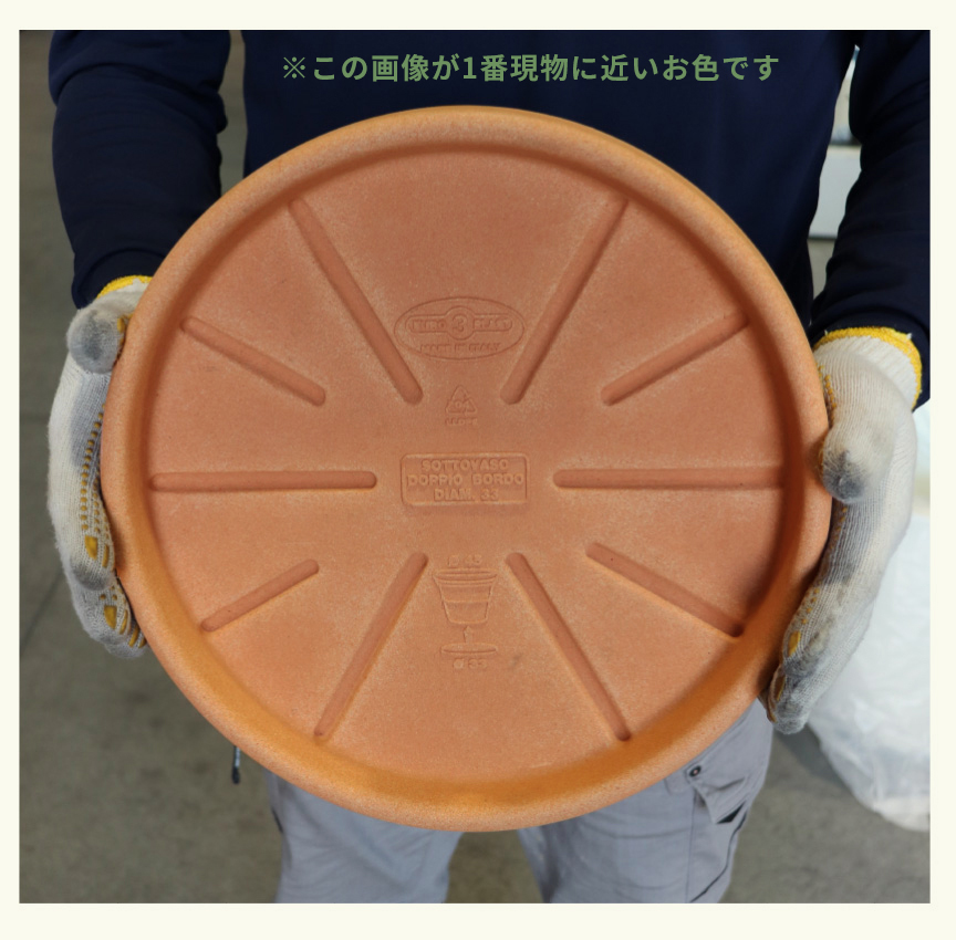 アウトレット訳アリセール