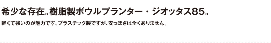伝統樹脂【ジオッタス85】