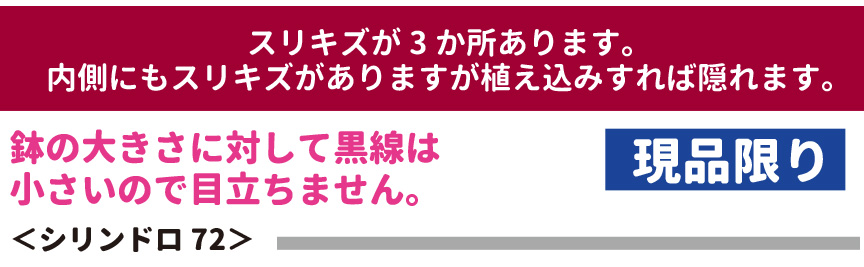 レチューザ訳アリセール