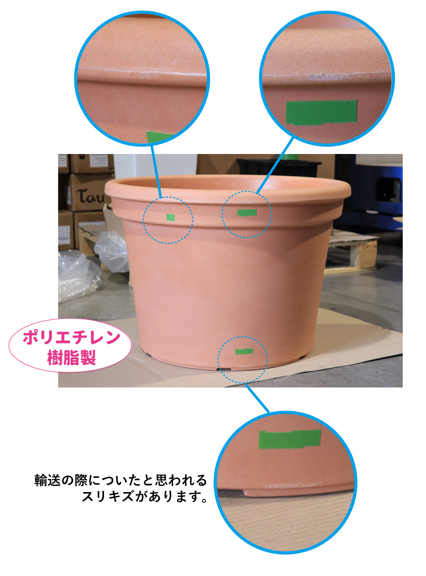 レチューザ訳アリセール