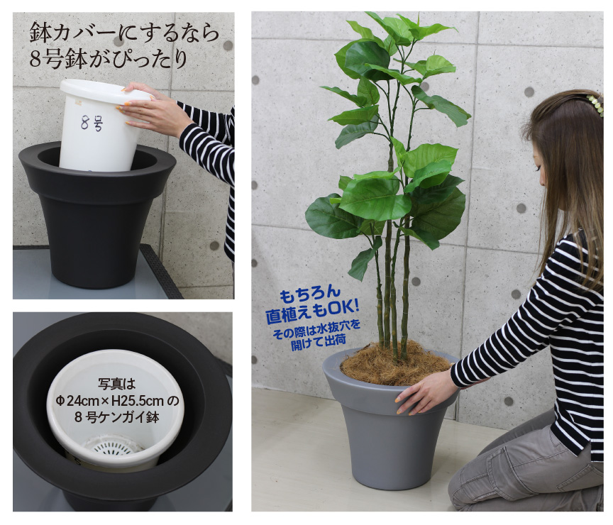 アウトレット・ミーシャ