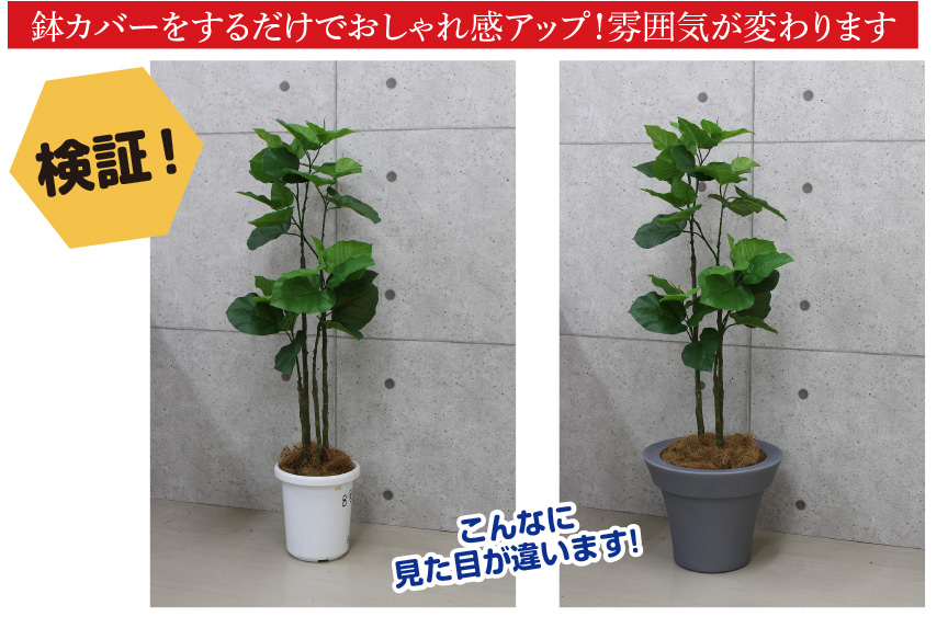 アウトレット・ミーシャ