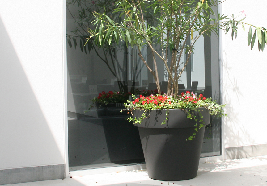 ユーロスリープラスト【イコン80】