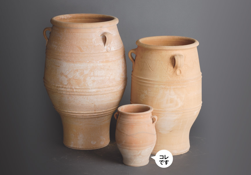 ギリシャ【ピサーリF】