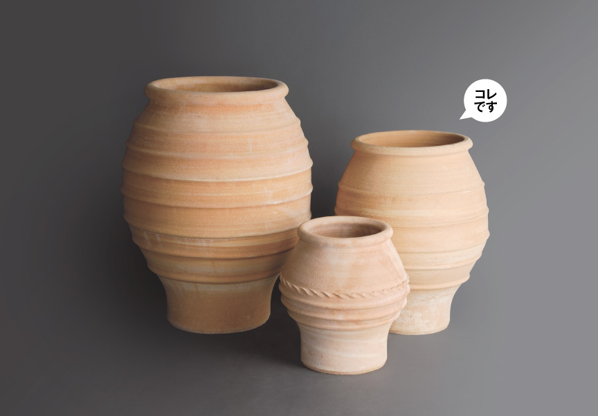 ギリシャ【コロニオスB】