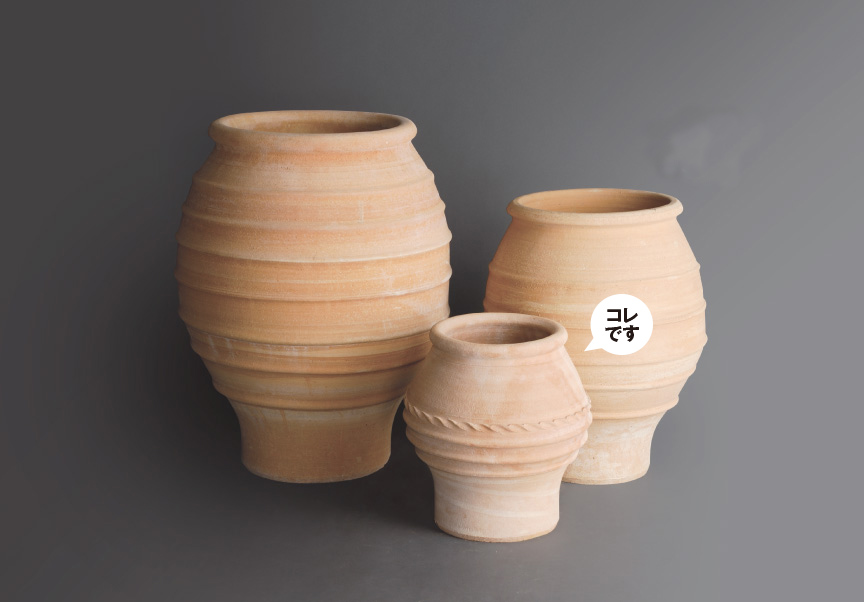 ギリシャ【コロニオスD】