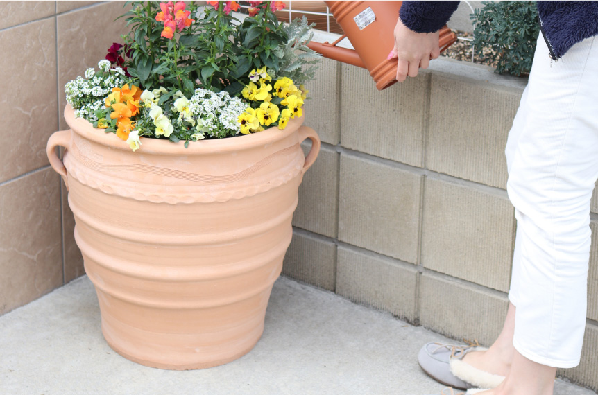 ギリシャ【エグザーラ】