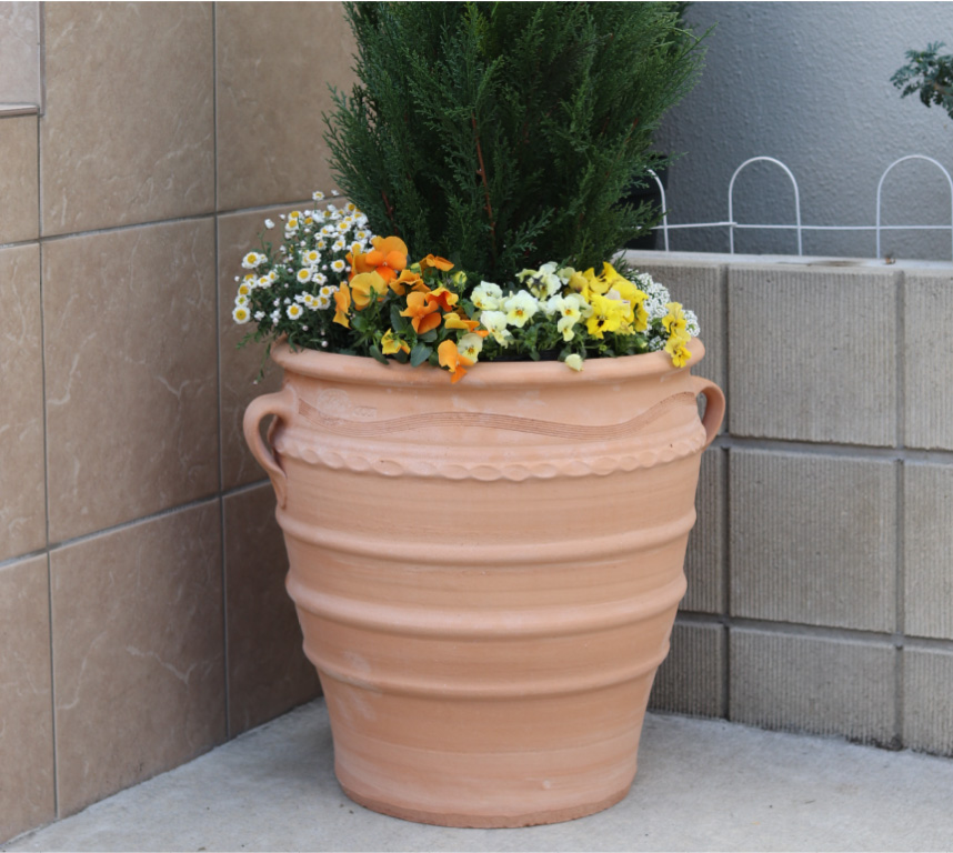 ギリシャ【エグザーラ】