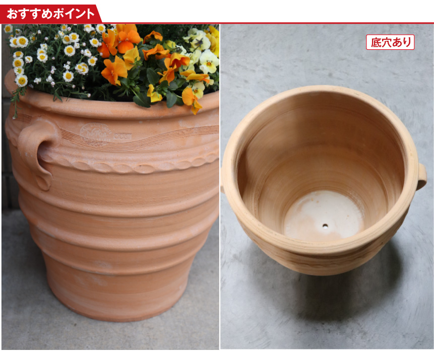 ギリシャ【エグザーラ】