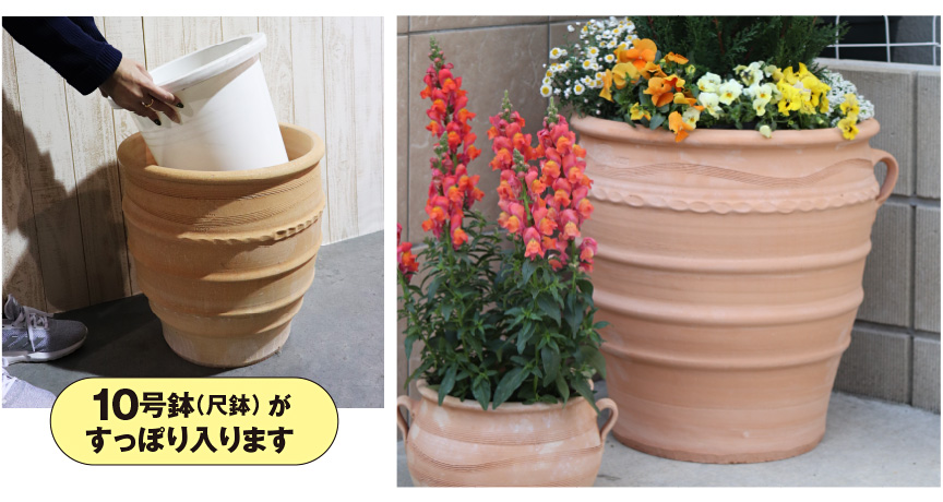 ギリシャ【エグザーラ】