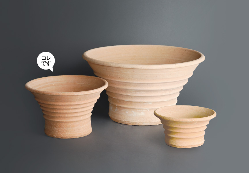 ギリシャ【アポロンD】