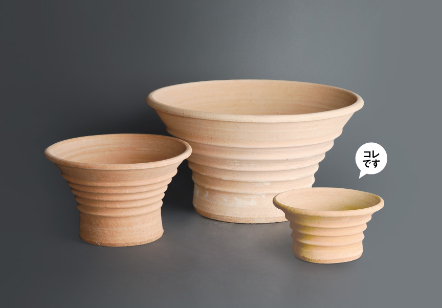 ギリシャ【アポロンN】