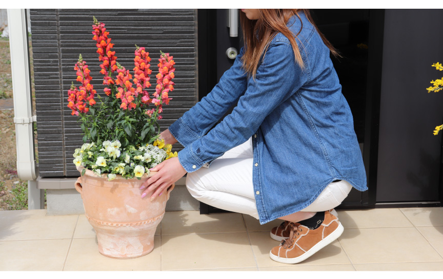 ギリシャ【ルバーキN】