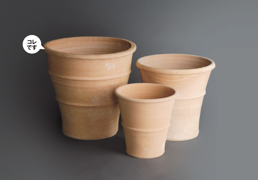 ギリシャ【モナホC】