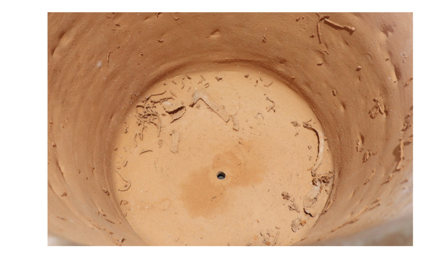 アウトレット訳アリセール