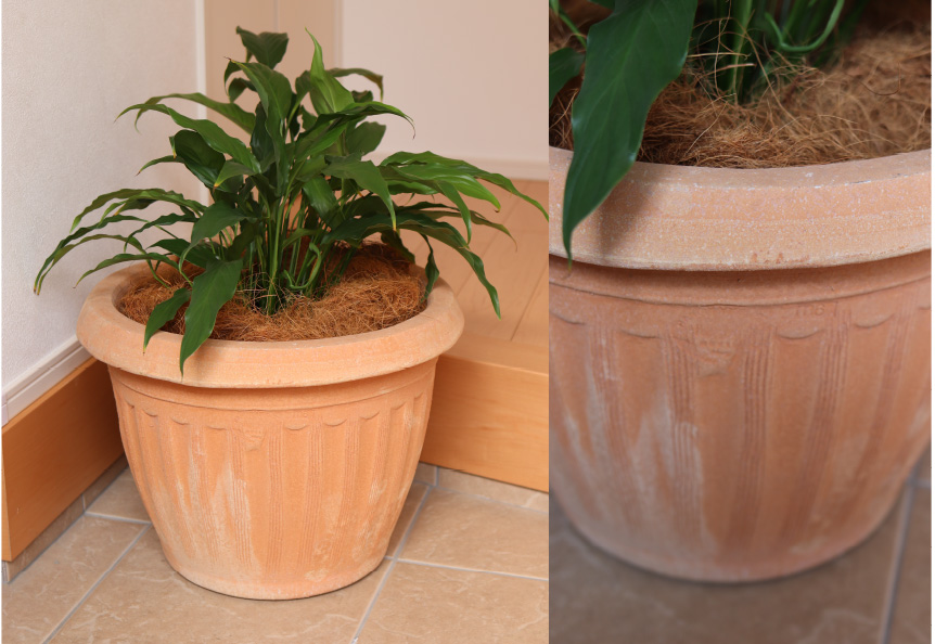 ギリシャ【ミコノス】