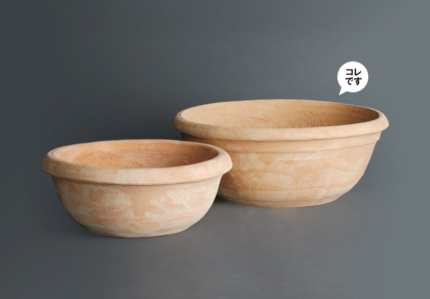 ギリシャ【ロードスA】