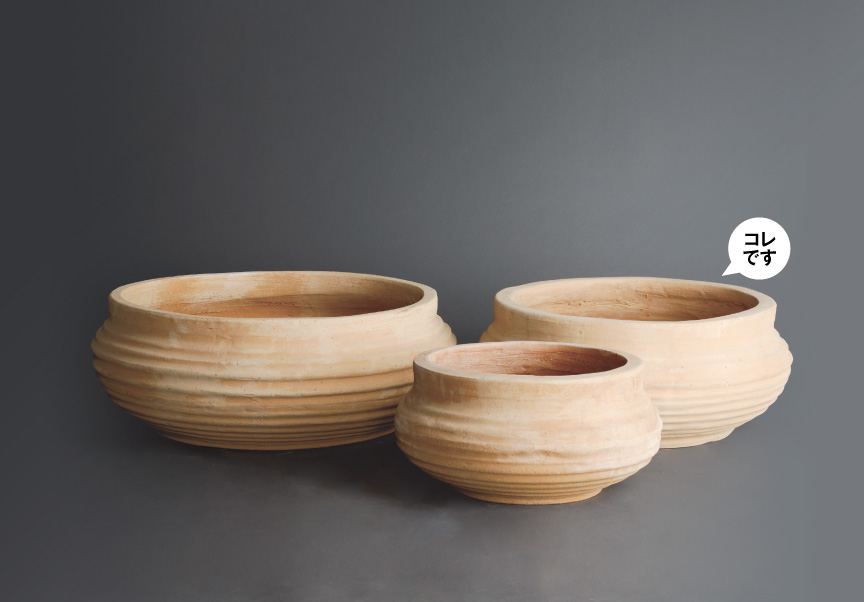 ギリシャ【リガスB】