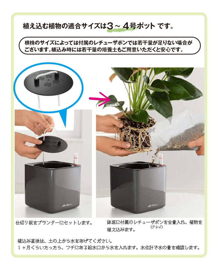 少量入荷品】アウトレットセール品・カントストーン14・LECHUZA 少量入荷品】アウトレットセール品・カントストーン14・LECHUZA