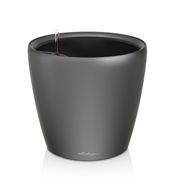 チャコール