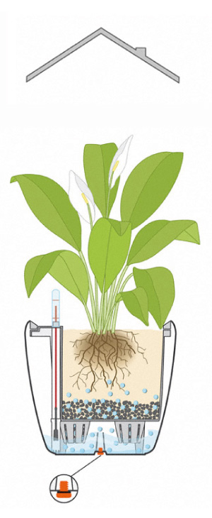 屋内で底栓を閉めて使うイラスト