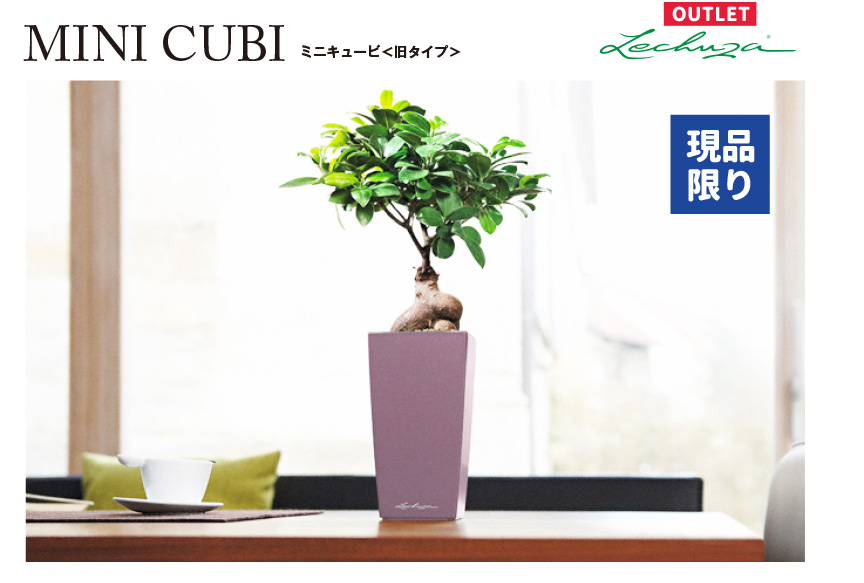 ミニキュービアウトレットセール