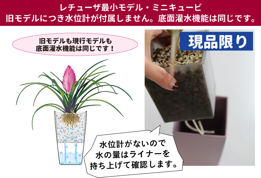 アウトレット訳アリセール