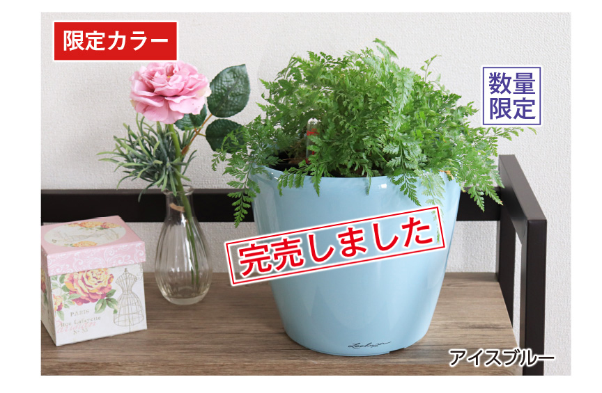当店だけの限定色アイスブルー
