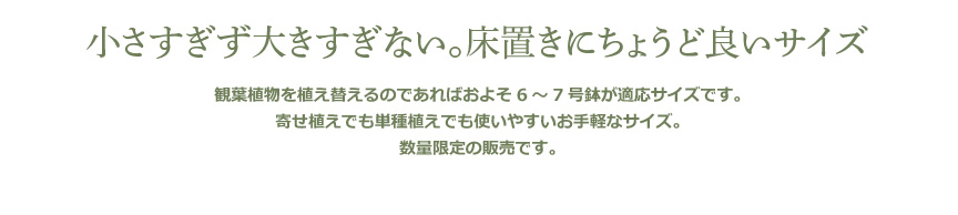 レチューザ【クラシコジョーカー28】