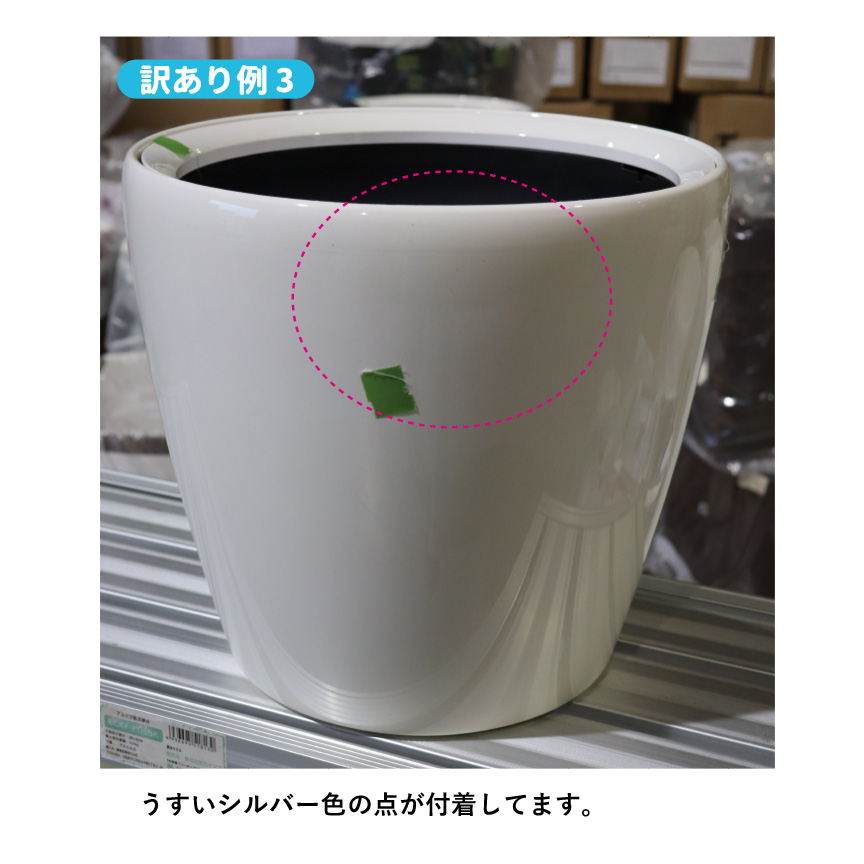 レチューザ訳アリセール