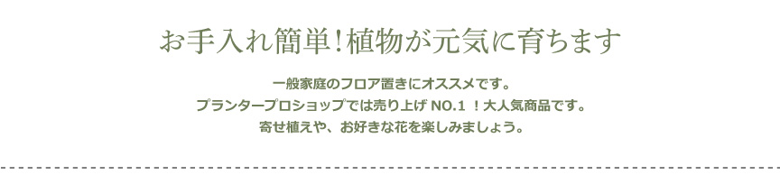 レチューザ【クラシコジョーカー35】