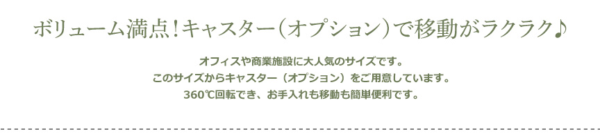 レチューザ【クラシコジョーカー43】