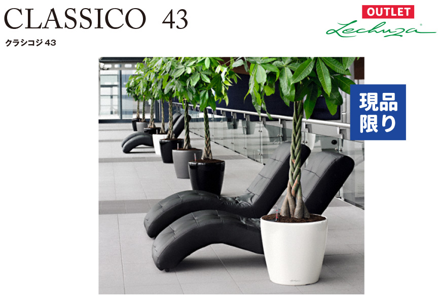 アウトレットセール【クラシコ43】