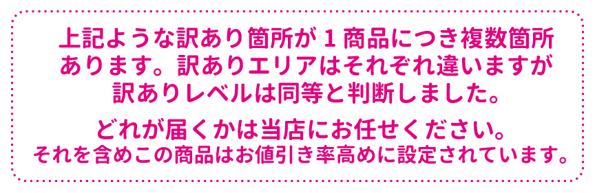 レチューザプレミアム・クラシコ43