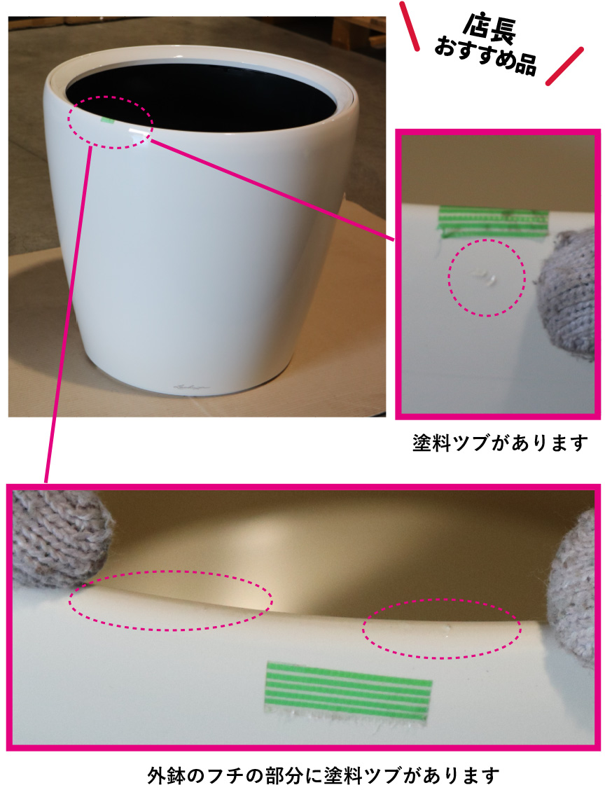 レチューザ訳アリセール