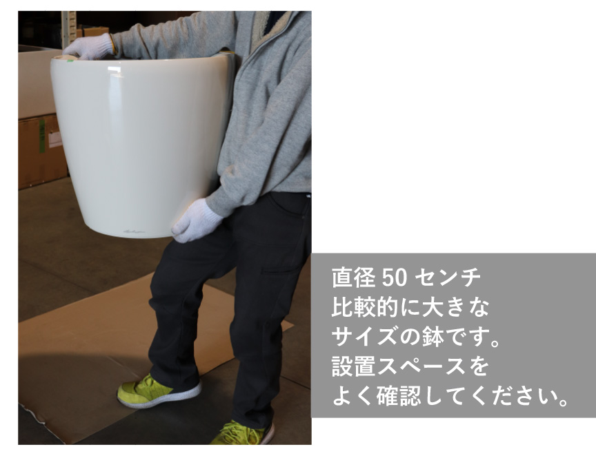 レチューザ訳アリセール