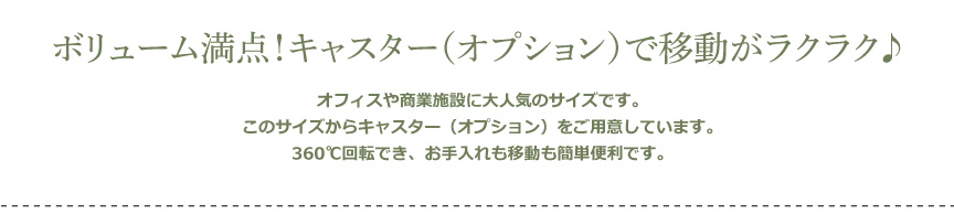 レチューザ【クラシコジョーカー50】