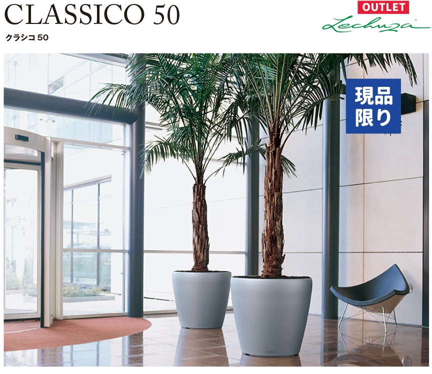 クラシコ50アウトレットセール