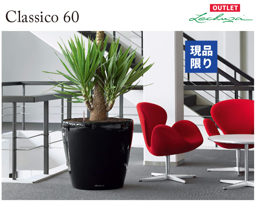 レチューザクラシコ60アウトレットセール