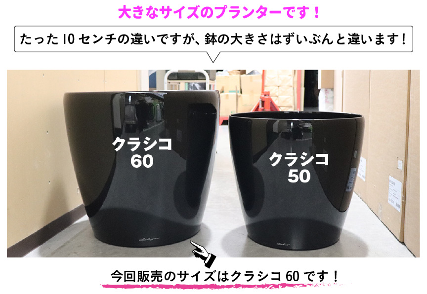 アウトレット訳アリセール