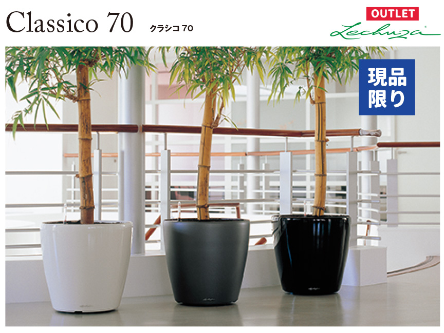 レチューザクラシコ70アウトレットセール